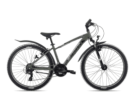 Maxim Bikes Sporty 21 26 38 cm | iguana green