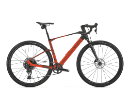 Mondraker Dusty RR M