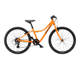 NALOO Chameleon 24 orange