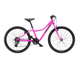 NALOO Chameleon 24 pink