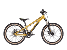 Norco Rampage 2 20″ 