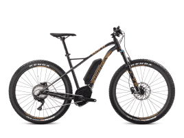 Orbea WILD 20 M | Schwarz-Gold (Satin)