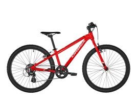 Orbea MX Dirt 24″ red/white
