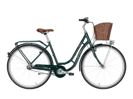 PEGASUS Bici Italia Touren | 50 cm | grün