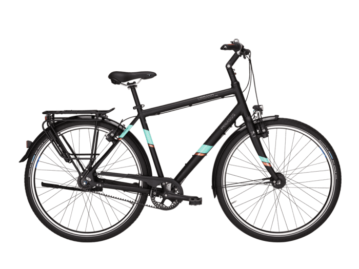 Foto: PEGASUS Urbano SL Fahrrad City