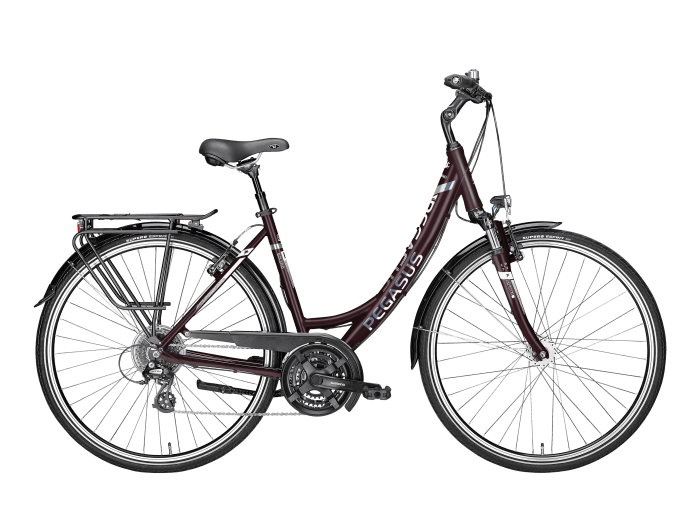 Foto: PEGASUS Solero SL Fahrrad Trekking