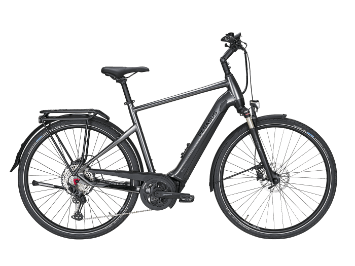 Foto: PEGASUS Premio EVO 12 Lite E-Bike City