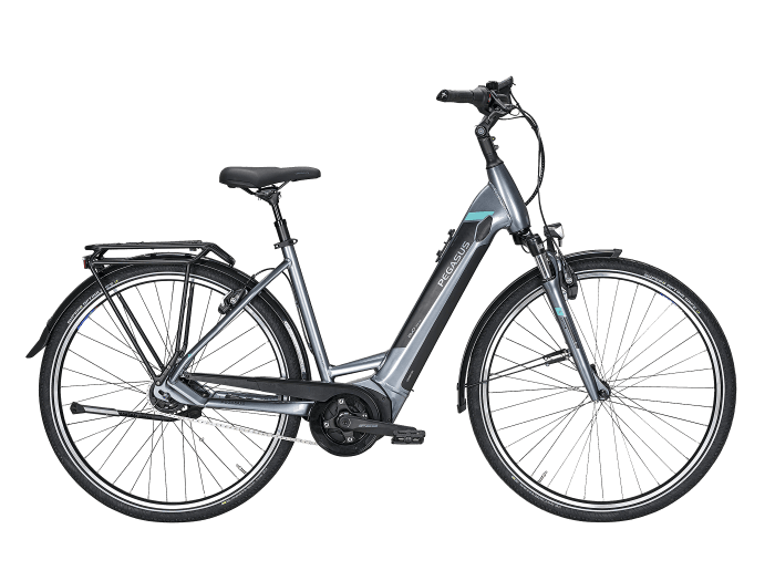 fahrrad e bike test pegasus e10 von 2018