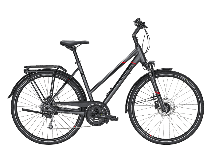 PEGASUS Premio SL Disc Trapez | 53 cm | grey matt