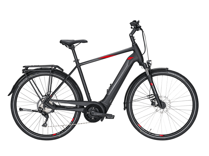 Foto: PEGASUS Premio EVO 10 E-Bike City