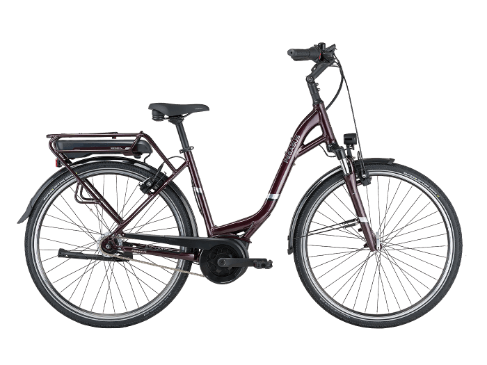 Foto: PEGASUS Solero E8F Plus E-Bike City