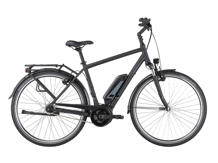 Foto: PEGASUS Solero E8R E-Bike City