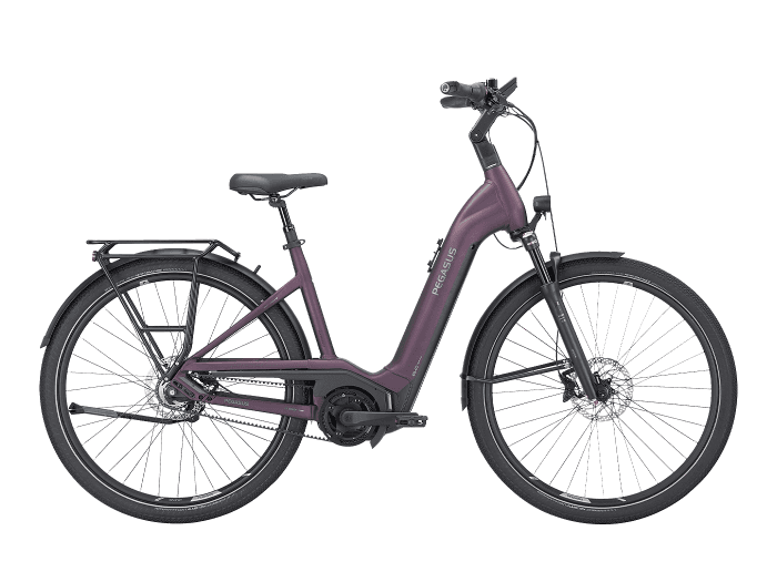 PEGASUS Premio EVO 5F Lite Belt Wave | 45 cm | dark berry | 750 Wh