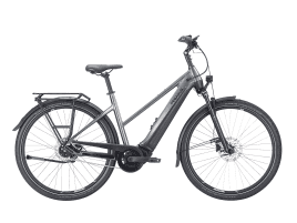 PEGASUS Premio EVO 5F Lite Trapez | 55 cm | black chrome | 500 Wh