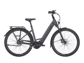 PEGASUS Premio EVO 5F Lite 45 cm | black | 500 Wh