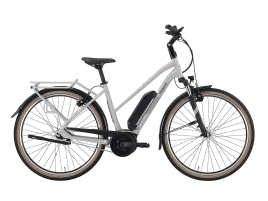 PEGASUS SOLERO E7R PLUS Trapez | 55 cm | sage | 725 Wh