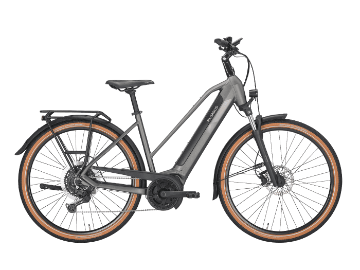 PEGASUS SOLERO EVO 10 Trapez | 50 cm | metallic aventurine | 625 Wh