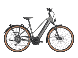 PEGASUS SOLERO EVO 10 Trapez | 45 cm | metallic aventurine | 625 Wh