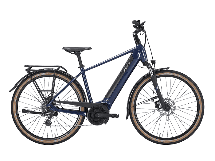 Foto: PEGASUS SOLERO EVO 8 E-Bike City