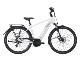 PEGASUS SOLERO EVO 8 Diamant | 50 cm | metallic off white | 500 Wh