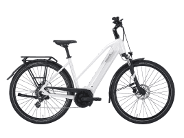 PEGASUS SOLERO EVO 8 Trapez | 50 cm | metallic off white | 625 Wh