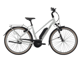 PEGASUS Solero E8 Plus Trapez | 50 cm | sage | 545 Wh