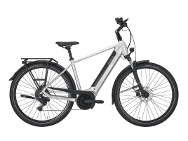 PEGASUS Solero EVO 9 Diamant | 55 cm | 625 Wh