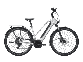 PEGASUS Solero EVO 9 Trapez | 50 cm | 750 Wh