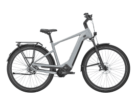 PEGASUS Estremo EVO 12 Lite Diamant | 50 cm | holographic grey matte