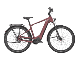 PEGASUS Estremo EVO 12 Lite Diamant | 60 cm | ruby red metallic matte