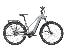 PEGASUS Estremo EVO 12 Lite Trapez | 50 cm | holographic grey matte