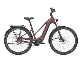 PEGASUS Estremo EVO 12 Lite Trapez | 50 cm | ruby red metallic matte