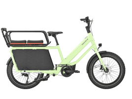 PEGASUS Famulo paradise green matte | 600 Wh