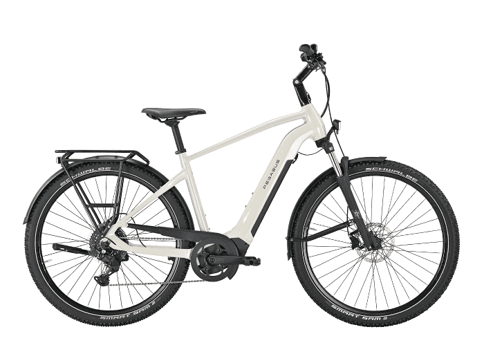 Foto: PEGASUS Obiro EVO 9 E-Bike Trekking