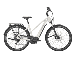 PEGASUS Obiro EVO 9 Trapez | 50 cm | kieselgrau | 925 Wh