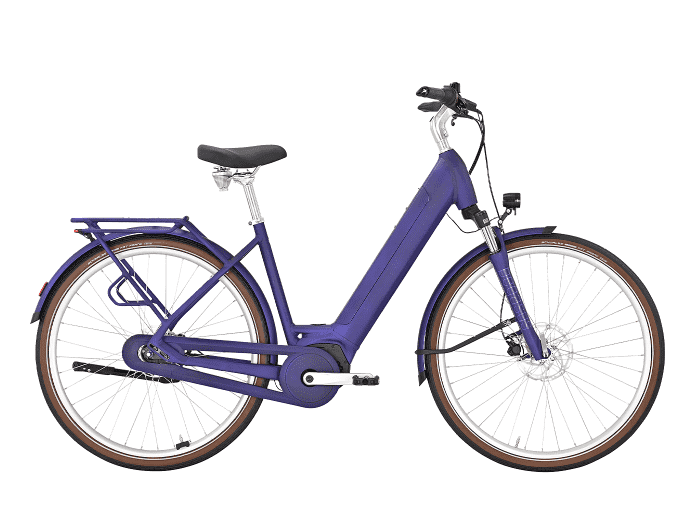 PEGASUS Passion EVO 45 cm | dark violet matte | 500 Wh