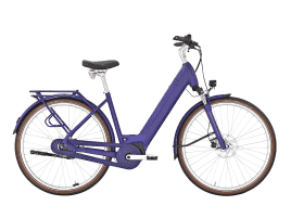 PEGASUS Passion EVO 45 cm | dark violet matte | 750 Wh