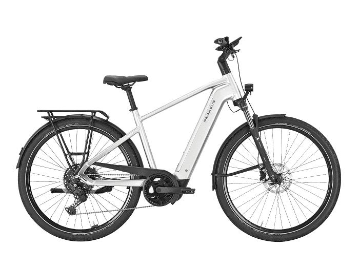 Foto: PEGASUS Premio EVO 10 Lite E-Bike Trekking