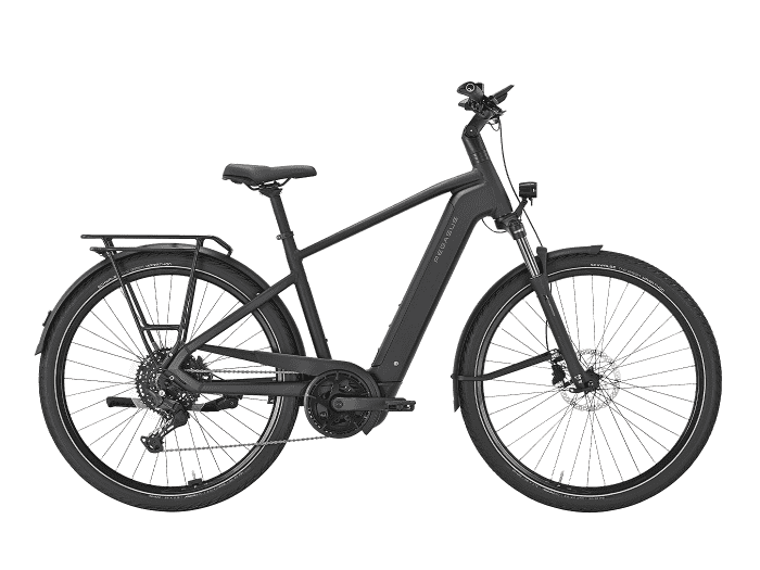 PEGASUS Premio EVO 10 Lite Diamant | 55 cm | matte black | 800 Wh