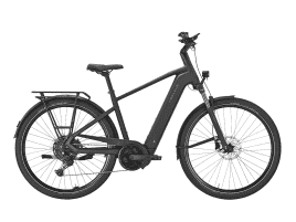 PEGASUS Premio EVO 10 Lite Diamant | 55 cm | matte black | 600 Wh