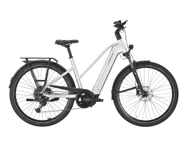 PEGASUS Premio EVO 10 Lite Trapez | 50 cm | arctic silver | 800 Wh