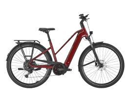 PEGASUS Premio EVO 10 Lite Trapez | 50 cm | fire red | 800 Wh