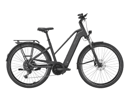 PEGASUS Premio EVO 10 Lite Trapez | 55 cm | matte black | 800 Wh