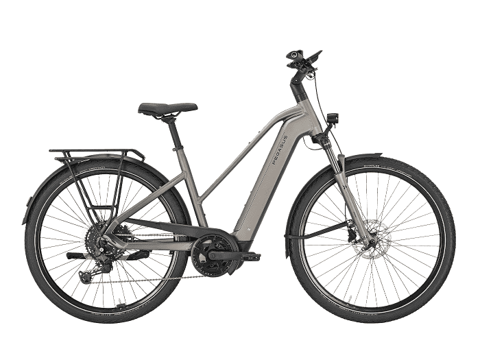 PEGASUS Premio EVO 10 Lite Trapez | 50 cm | monza grey matte | 600 Wh