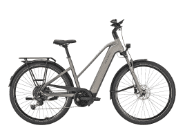 PEGASUS Premio EVO 10 Lite Trapez | 55 cm | monza grey matte | 800 Wh