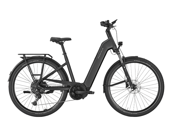 PEGASUS Premio EVO 10 Lite Wave | 55 cm | matte black | 600 Wh