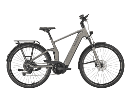 PEGASUS Premio EVO FS10 Lite Diamant | 45 cm | monza grey matte