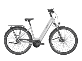 PEGASUS Solero EVO 5R Wave | 50 cm | alpina grey | 625 Wh