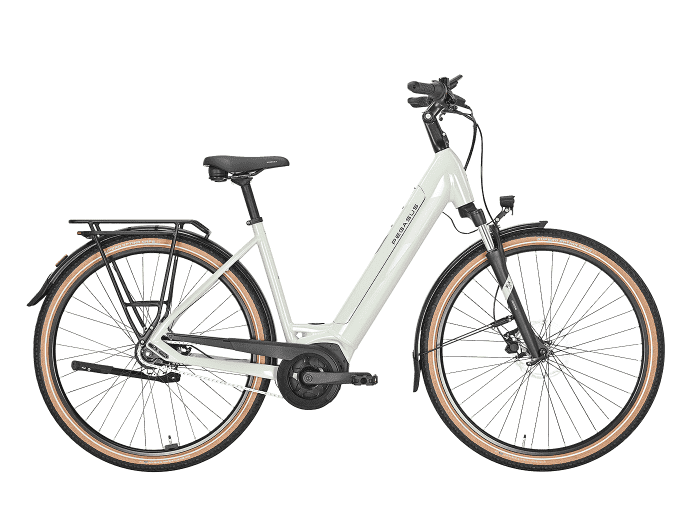 PEGASUS Solero EVO 8R 55 cm | sage | 625 Wh