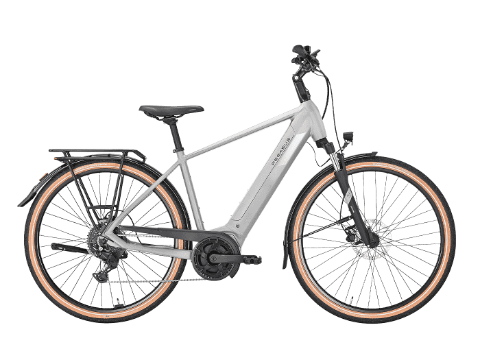 Foto: PEGASUS Solero EVO 9 E-Bike City